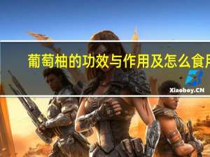 葡萄柚的功效与作用及怎么食用（葡萄柚的功效与作用）