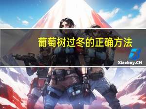 葡萄树过冬的正确方法