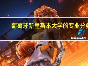 葡萄牙新里斯本大学的专业分类