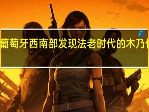 葡萄牙西南部发现法老时代的木乃伊蜜蜂