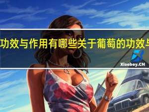 葡萄的功效与作用有哪些关于葡萄的功效与作用有哪些