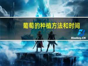 葡萄的种植方法和时间
