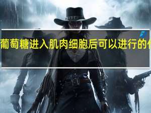 葡萄糖进入肌肉细胞后可以进行的代谢是