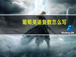 葡萄英语复数怎么写