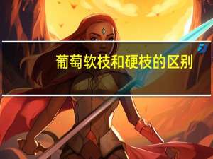 葡萄软枝和硬枝的区别