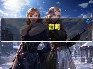 葡萄（关于葡萄的介绍）