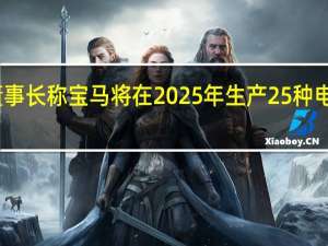 董事长称宝马将在2025年生产25种电动车型