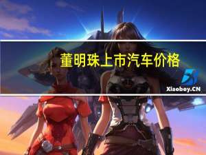 董明珠上市汽车价格