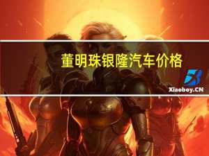 董明珠银隆汽车价格