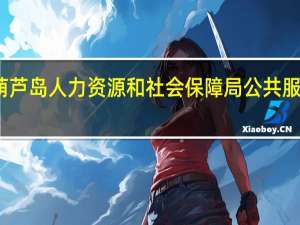 葫芦岛人力资源和社会保障局公共服务平台（葫芦岛人力资源和社会保障局）