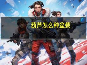 葫芦怎么种盆栽