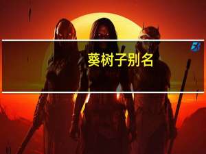 葵树子别名