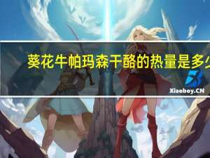 葵花牛 帕玛森干酪的热量是多少