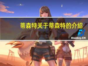 蒂森特 关于蒂森特的介绍