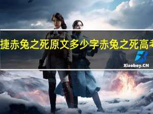 蒋昕捷赤兔之死原文多少字 赤兔之死高考作文原文
