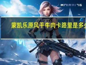 蒙凯乐原 风干牛肉卡路里是多少