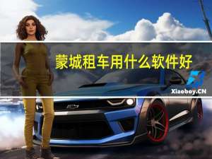 蒙城租车用什么软件好