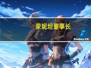 蒙妮坦董事长（陈维蕊—蒙妮坦国际集团董事介绍）