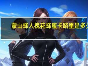蒙山蜂人 槐花蜂蜜卡路里是多少