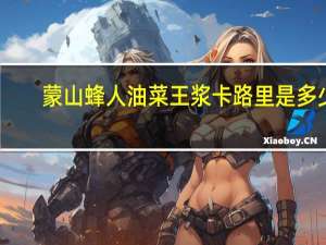 蒙山蜂人 油菜王浆卡路里是多少