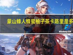 蒙山蜂人 蜂蜜柚子茶卡路里是多少