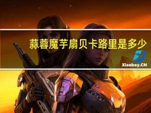 蒜蓉魔芋扇贝卡路里是多少