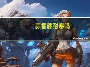 蒜香藤耐寒吗
