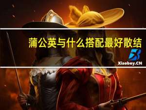 蒲公英与什么搭配最好散结（蒲公英与什么搭配最好）