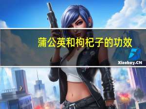 蒲公英和枸杞子的功效（蒲公英枸杞泡水功效）