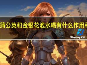 蒲公英和金银花泡水喝有什么作用和功效（蒲公英和金银花泡水喝的功效与作用）