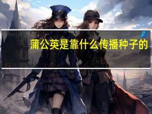 蒲公英是靠什么传播种子的