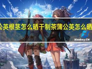 蒲公英根茎怎么晒干制茶 蒲公英怎么晒干做成茶