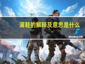 蒲鞋的解释及意思是什么
