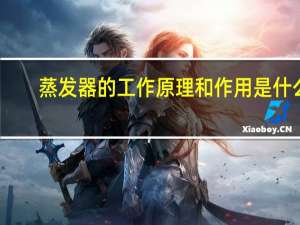 蒸发器的工作原理和作用是什么