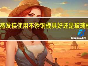 蒸发糕使用不锈钢模具好还是玻璃模具好