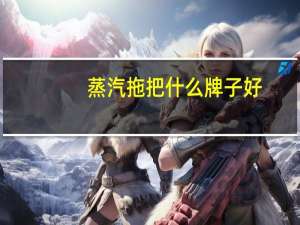 蒸汽拖把什么牌子好