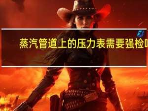 蒸汽管道上的压力表需要强检吗