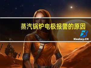 蒸汽锅炉电极报警的原因