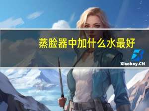 蒸脸器中加什么水最好