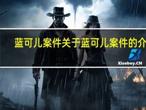 蓝可儿案件 关于蓝可儿案件的介绍