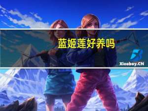 蓝姬莲好养吗