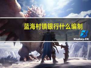 蓝海村镇银行什么编制