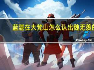 蓝湛在大梵山怎么认出魏无羡的