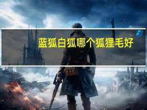 蓝狐白狐哪个狐狸毛好