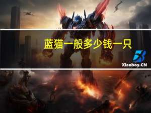 蓝猫一般多少钱一只