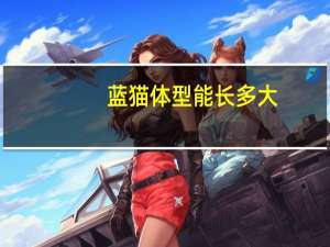 蓝猫体型能长多大