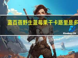 蓝百蓓 野生蓝莓果干卡路里是多少