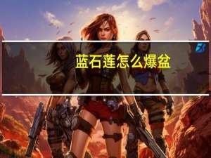 蓝石莲怎么爆盆