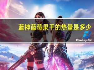 蓝神 蓝莓果干的热量是多少