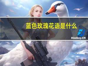 蓝色玫瑰花语是什么